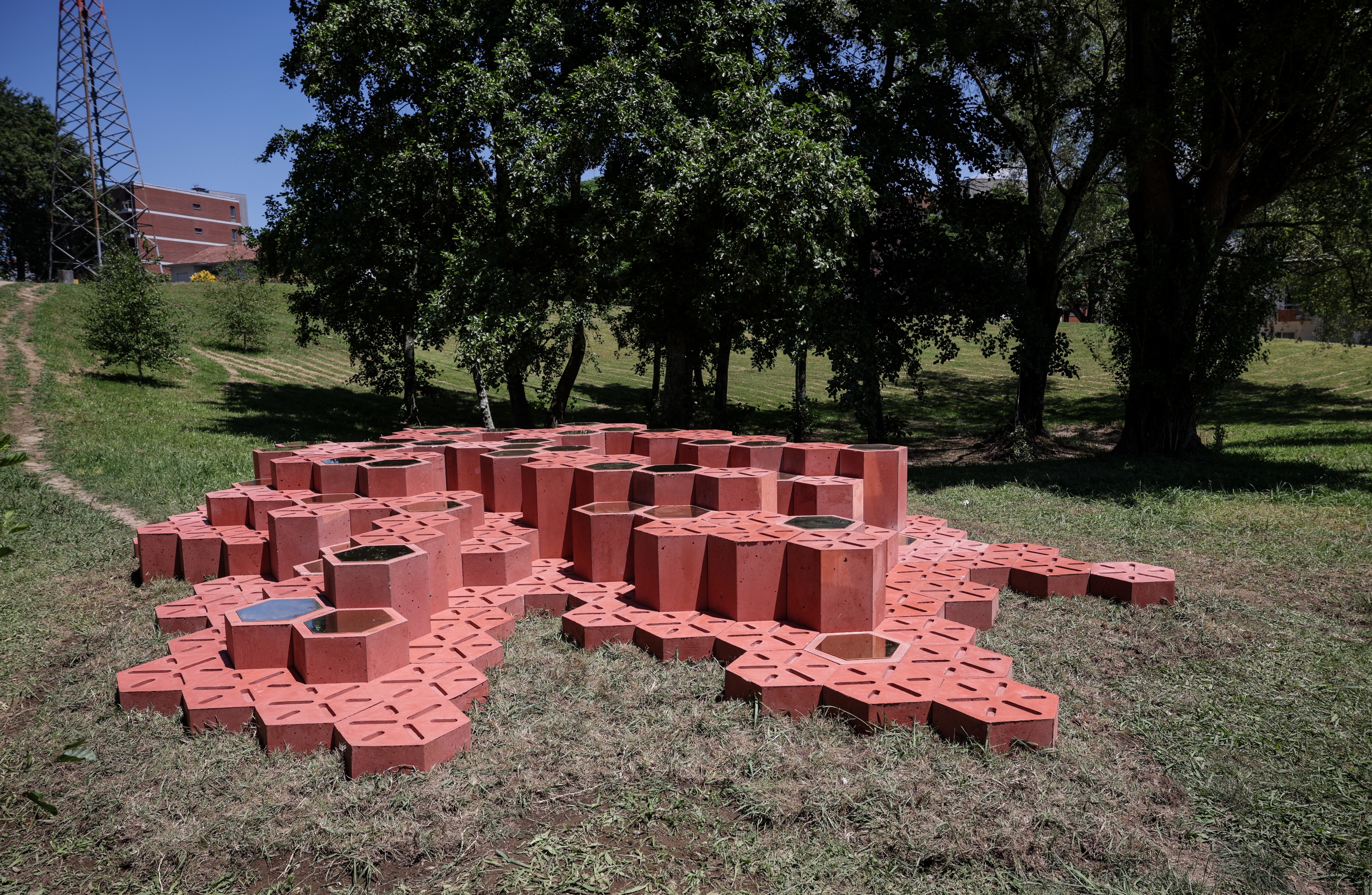 Thumbnail da galeria Inauguração da Calçada do Conhecimento